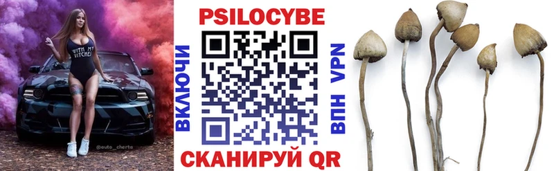 Галлюциногенные грибы GOLDEN TEACHER  как найти   Кунгур 