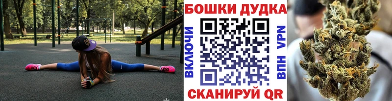 Шишки марихуана сатива  hydra ссылка  Кунгур  как найти закладки 